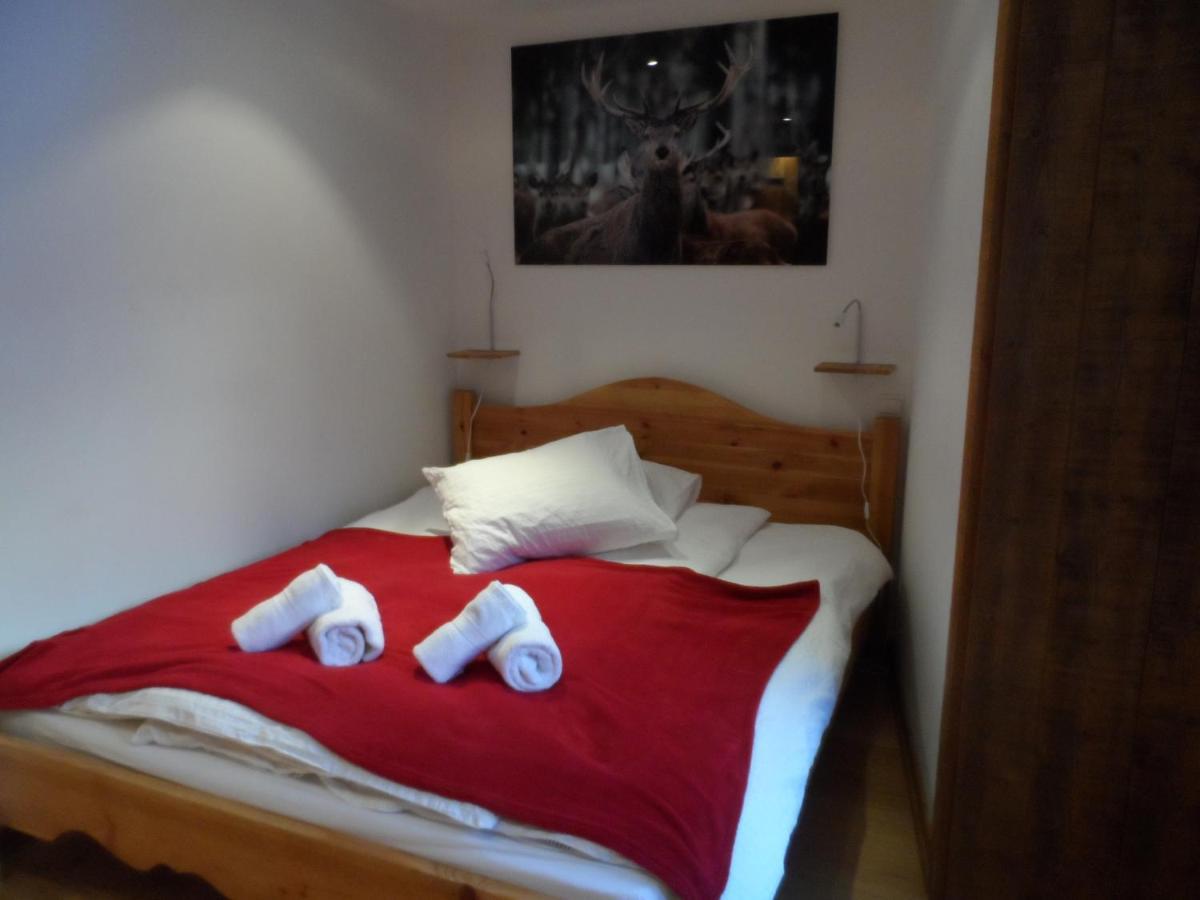 Prachtig Familie Appartement Voor 6 Personen In Het Hart Van Argentiere, Chamonix Mont-Blanc Bagian luar foto